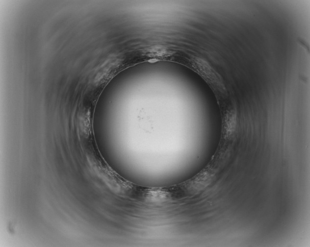 X0000100850376200806201220