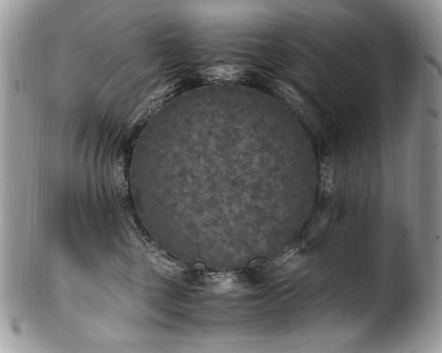X0000100850377200806201220