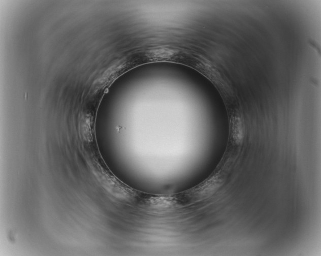 X0000100850378200806201220