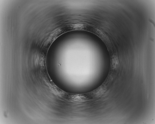 X0000100850379200806201220