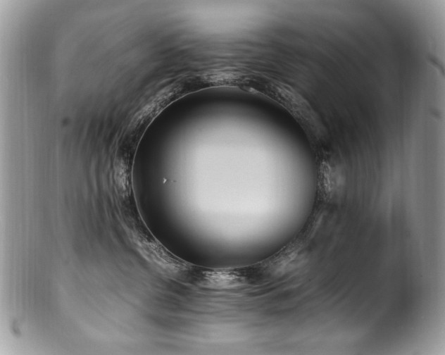 X0000100850380200806201220
