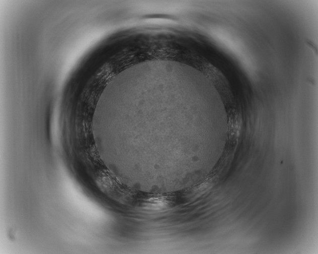 X0000100850381200806201220