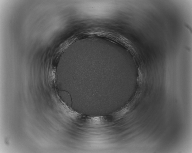 X0000100850382200806201220