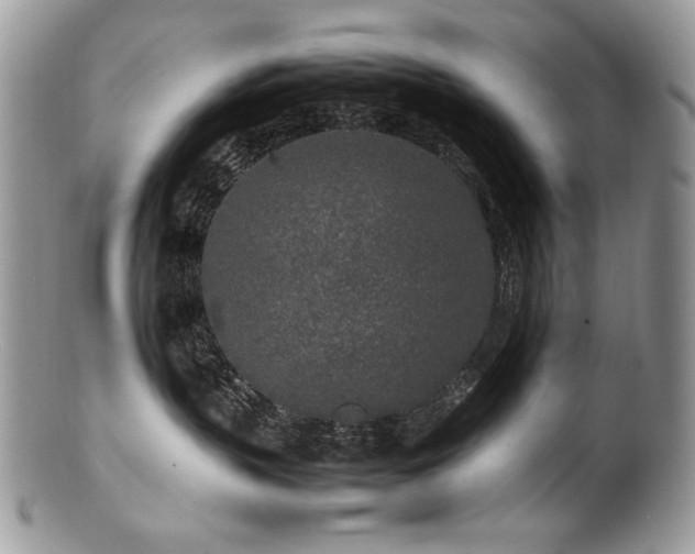 X0000100850383200806201220