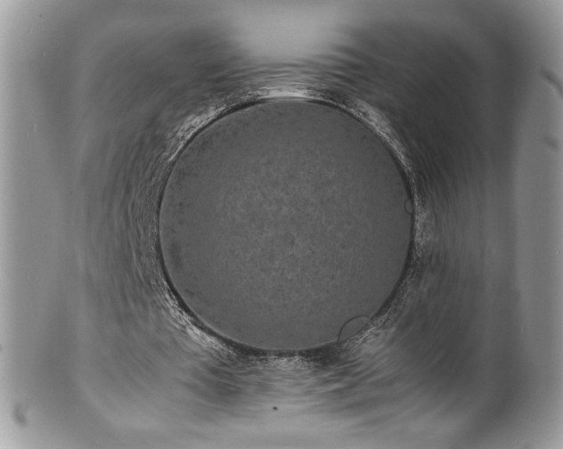 X0000100850385200806201219