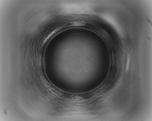 X0000100850387200806201219