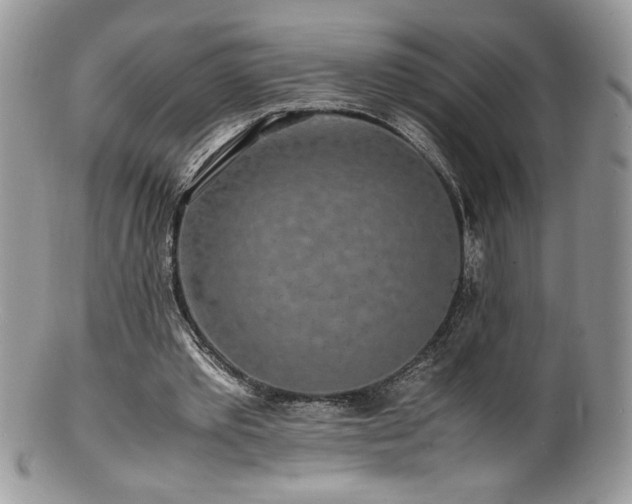 X0000100850389200806201219