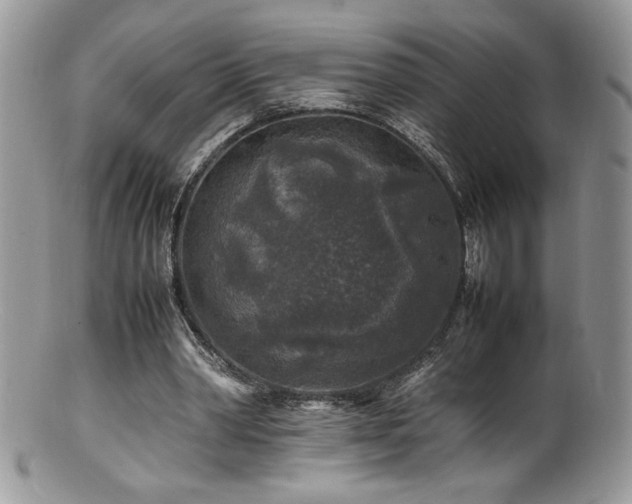X0000100850390200806201219