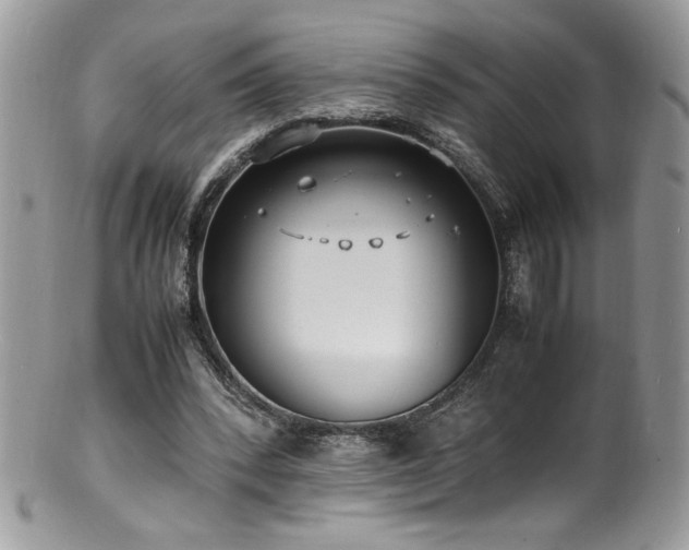 X0000100850392200806201219