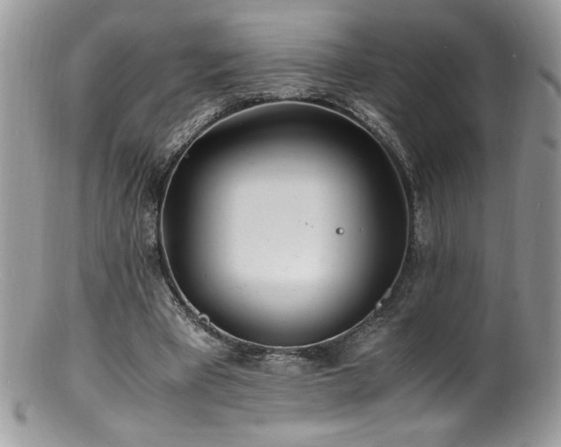 X0000100850393200806201219