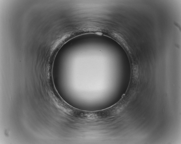 X0000100850395200806201219