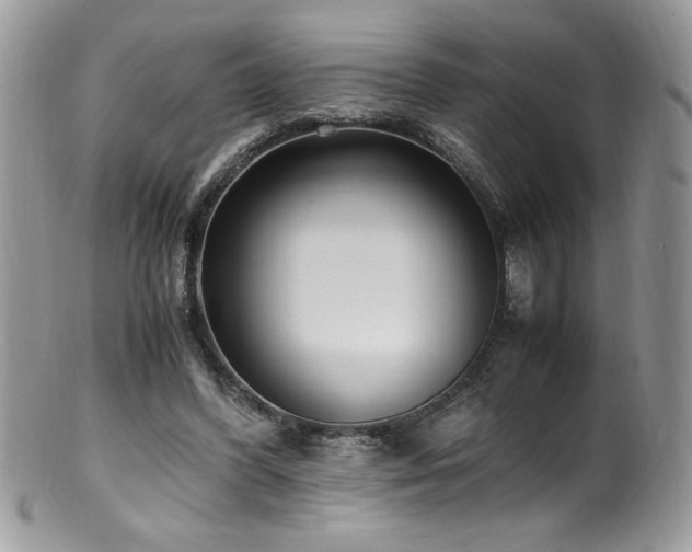 X0000100850396200806201219