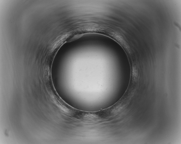 X0000100850397200806201219