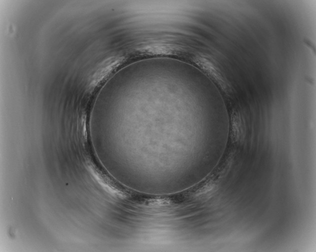 X0000100850398200806201219
