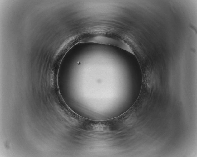 X0000100850400200806201219