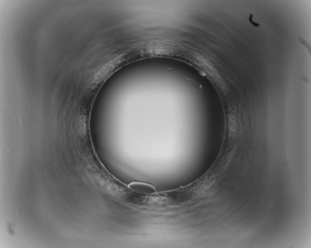 X0000100850401200806201219
