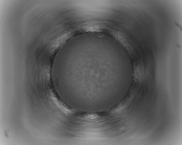 X0000100850402200806201219