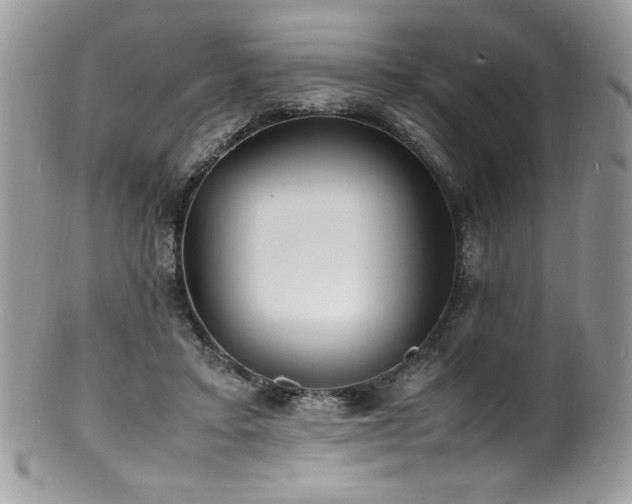 X0000100850403200806201219