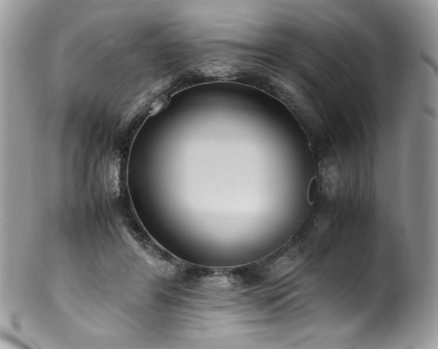 X0000100850404200806201219