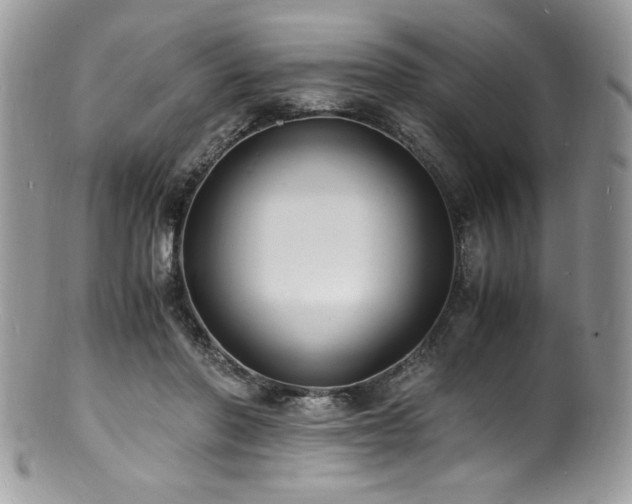 X0000100850406200806201219