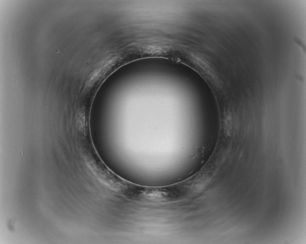 X0000100850407200806201219
