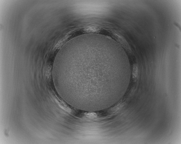 X0000100850409200806201219