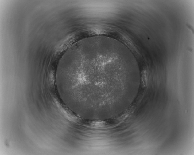 X0000100850410200806201219