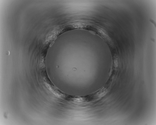 X0000100850411200806201219