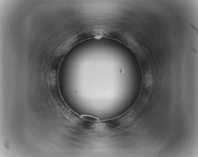 X0000100850413200806201219