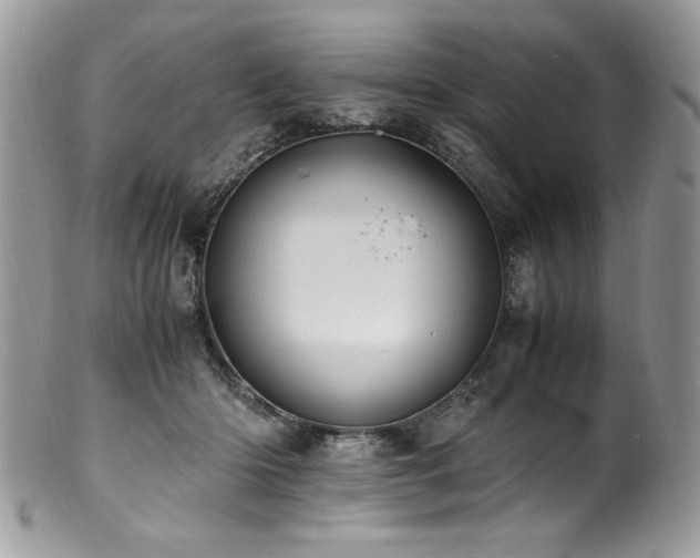 X0000100850414200806201219
