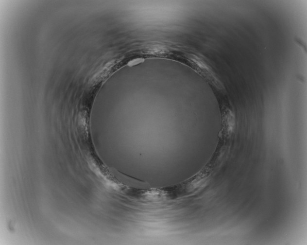 X0000100850415200806201219