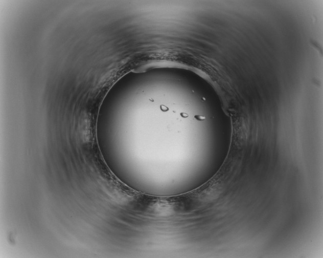 X0000100850416200806201219