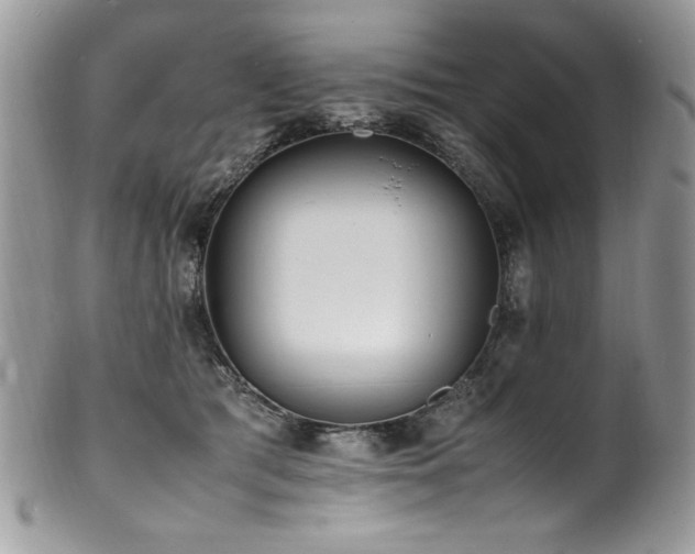 X0000100850417200806201219