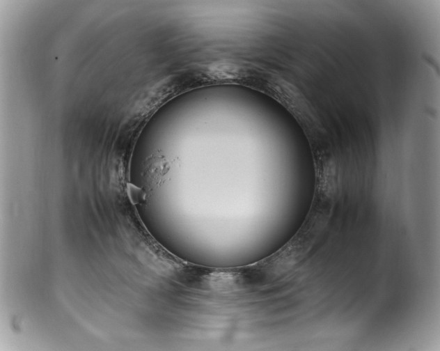 X0000100850418200806201219