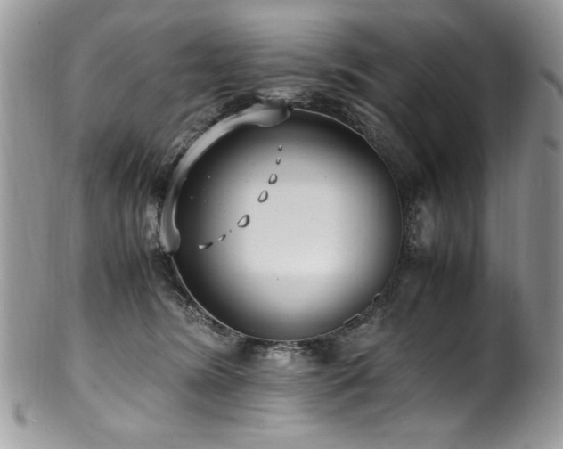 X0000100850420200806201219