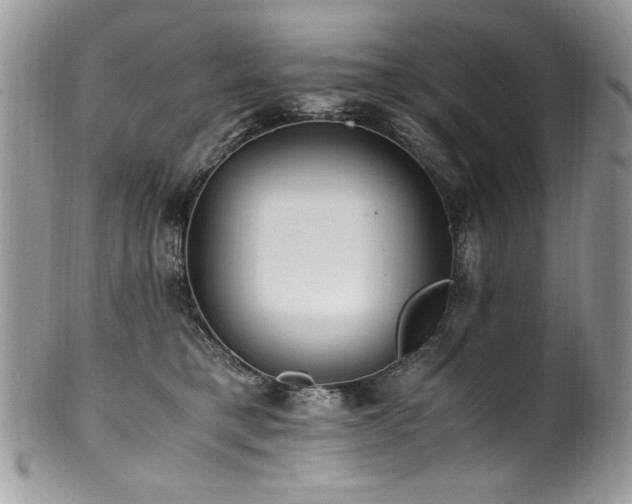 X0000100850421200806201219