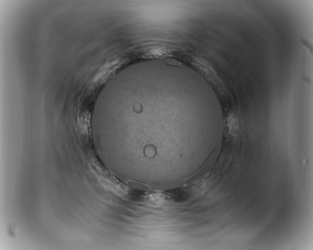X0000100850423200806201219
