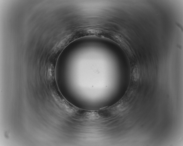 X0000100850424200806201219