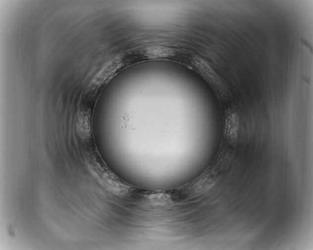 X0000100850426200806201219