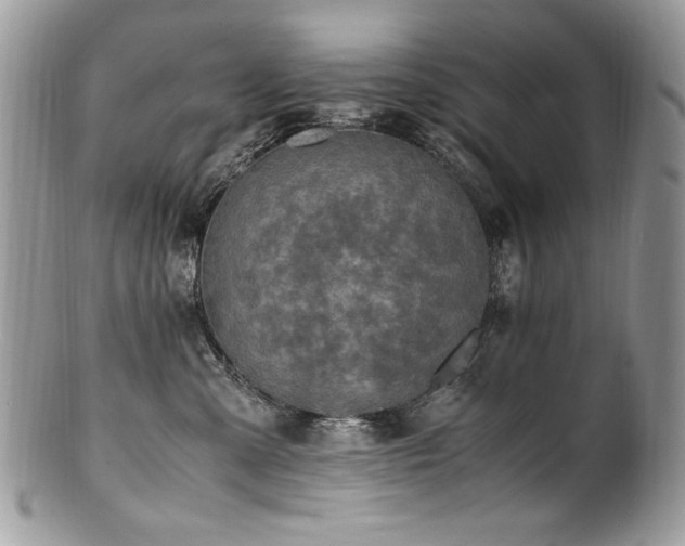 X0000100850427200806201219