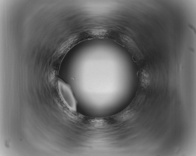 X0000100850428200806201219