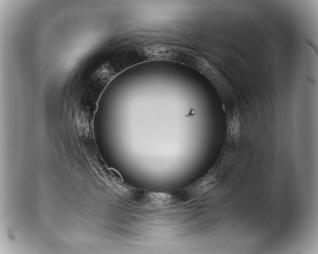 X0000100850429200806201219