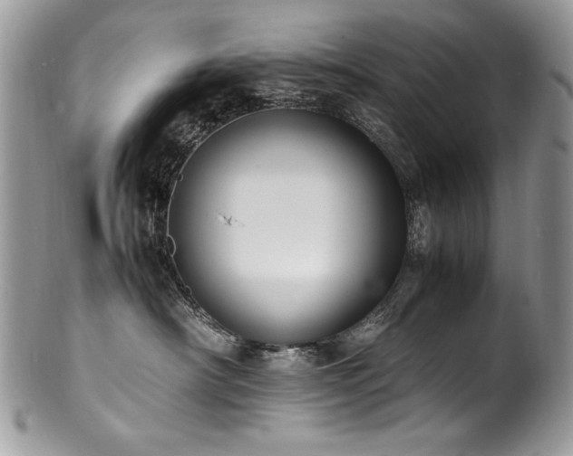 X0000100850430200806201219