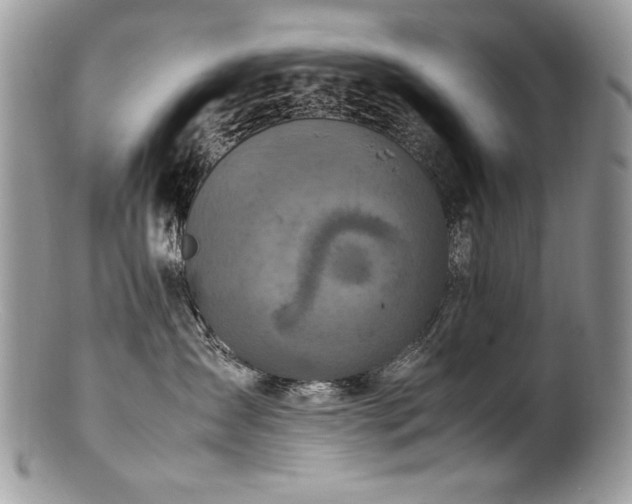 X0000100850431200806201219