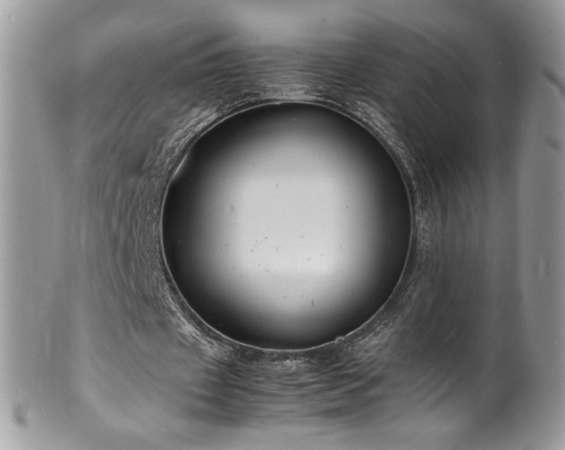 X0000100850433200806201218