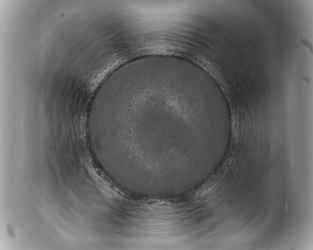 X0000100850434200806201218