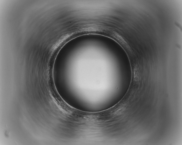 X0000100850436200806201218