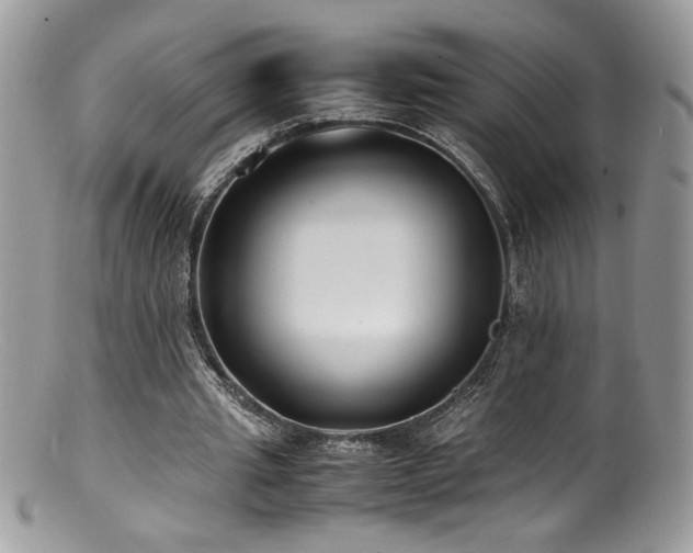 X0000100850437200806201218