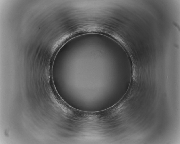 X0000100850438200806201218