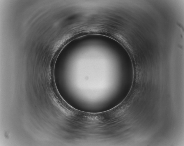 X0000100850439200806201218